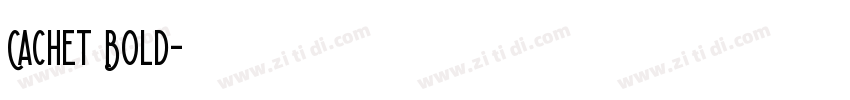 Cachet Bold字体转换